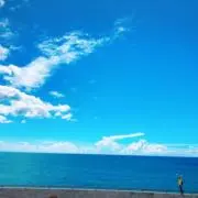 TAROの画像