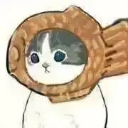 たいやき