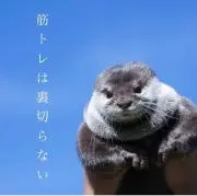 seek.padoの画像