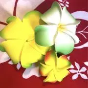 ◉おもち◉の画像