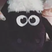 やまおかか