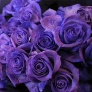 野薔薇の画像