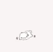 あも^ ̳.  ̫ . ̳^の画像