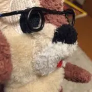 プチ雄