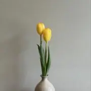 A...の画像