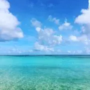 seaside2011の画像