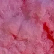 ®︎a.の画像