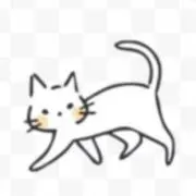 シロの画像