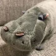 ★ちま★