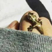ほら【プチ断捨離中】