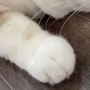 ゆうきりんりん※プロフ必読※の画像