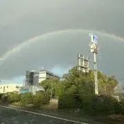 ちろりんの画像