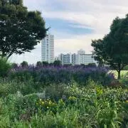 カタツムリの画像