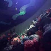 ♡♩の画像