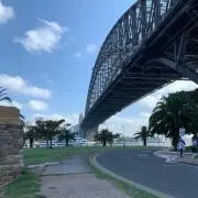 おおとり