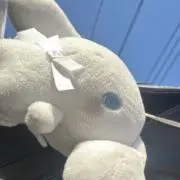 だよの画像