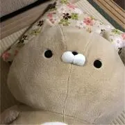 トダ君の断捨離