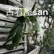 古着屋san＊割引あり＊の画像