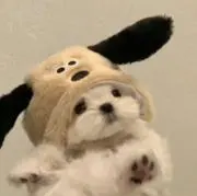 みの画像