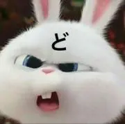 どんちゃん