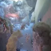 スイ