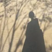 24の画像