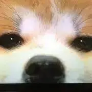 マメ(プロフィール必読ください)の画像