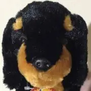 ちーちゃんの画像