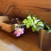 Bloom   プロフ必読　送料込み価格の画像