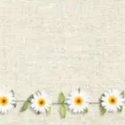merryの画像