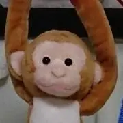マウンテン