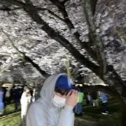 よしぴ