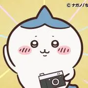 ピノの画像
