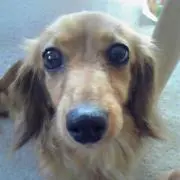 たりたり