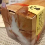 うめこの画像
