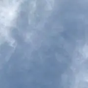 SAの画像