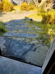 Image of ちゅーりっぷ