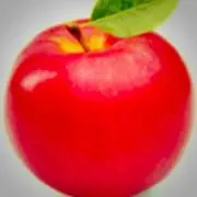 りんご