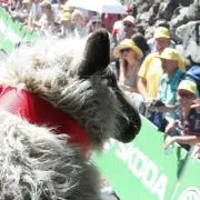 シナト
