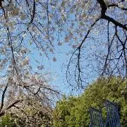 ゆい＠プロフ一読推奨