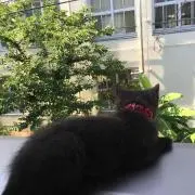 ちゃむお☺︎