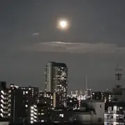 ねこま