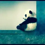 こーへい