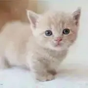 ☆_★