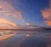 迅速・丁寧の画像
