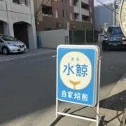 琥珀の画像