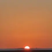 てちの画像