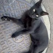 juの画像