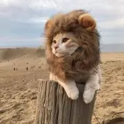 特命係長の画像