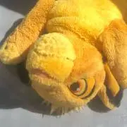 CIMBA